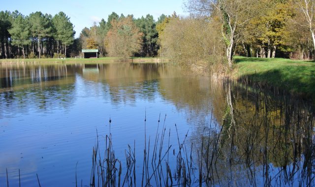 Étang communal du Chêne à Meunier